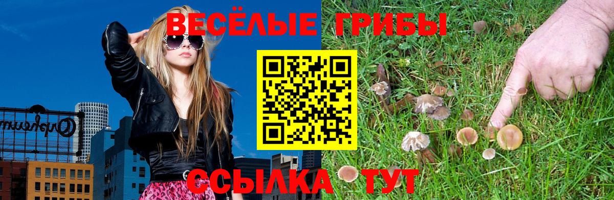 Новошахтинск  Галлюциногенные грибы мицелий  Вход с VPN 
